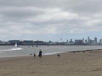 IMG_2827.jpeg