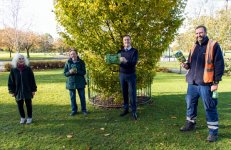 The Fascinating Trees of Stewart Park