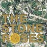 ClashRose